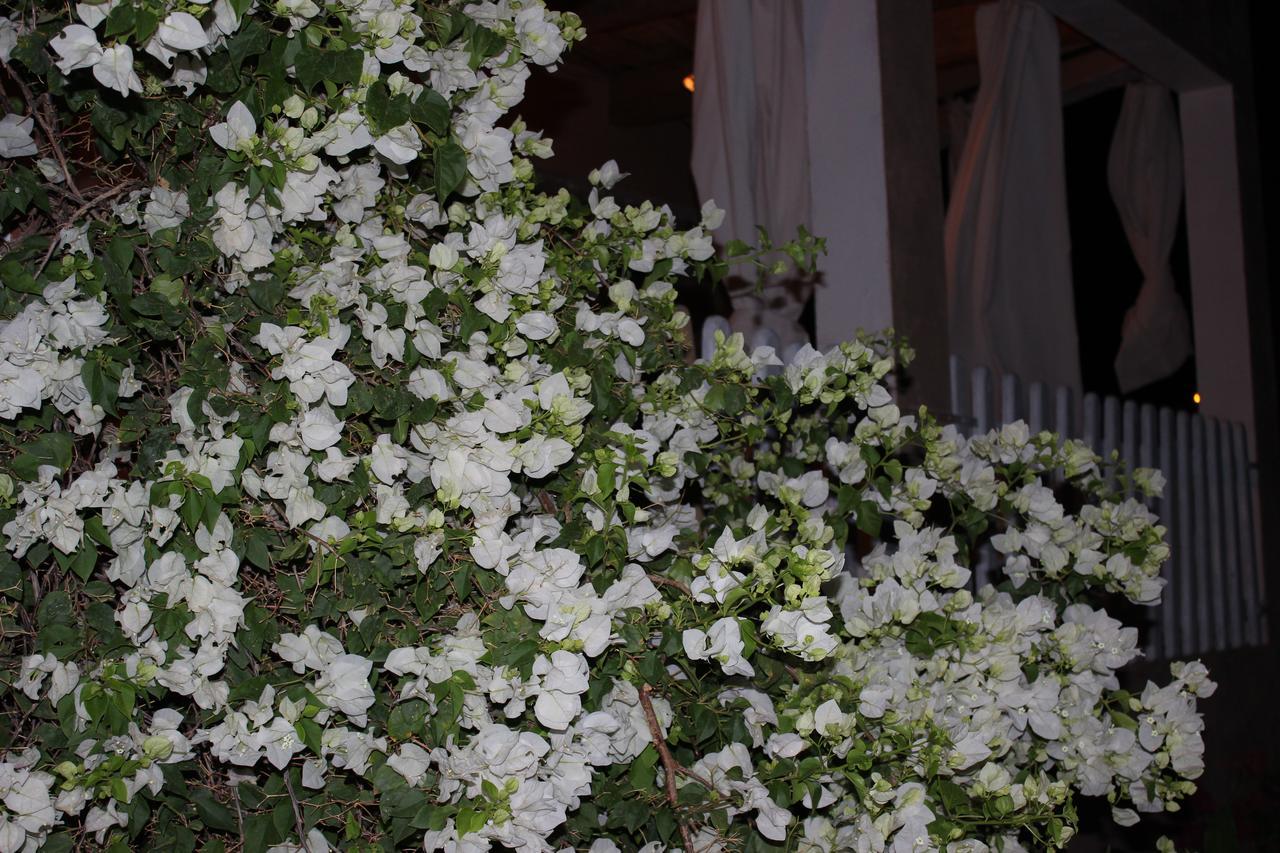 Riad Hiba Foum Zguid エクステリア 写真
