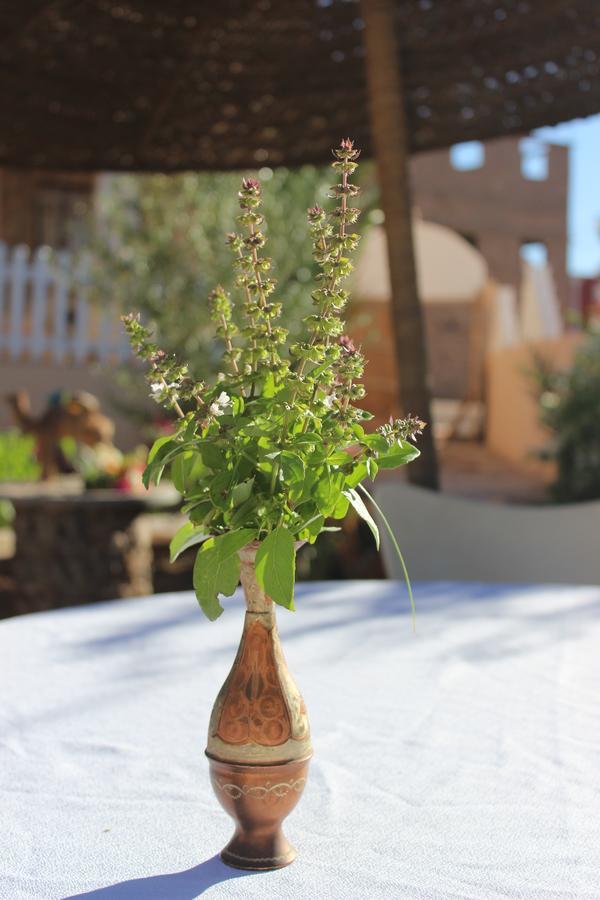 Riad Hiba Foum Zguid エクステリア 写真