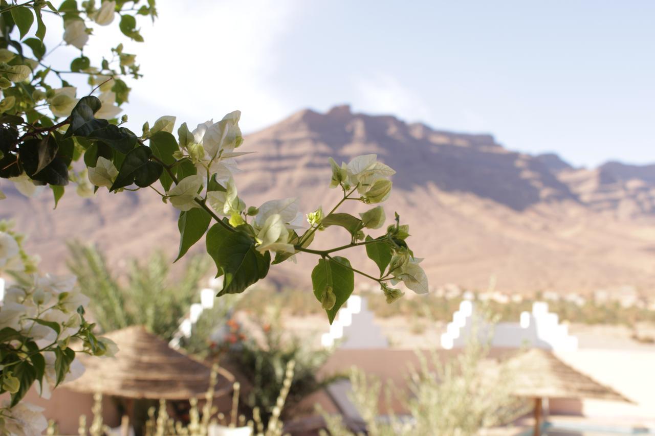 Riad Hiba Foum Zguid エクステリア 写真